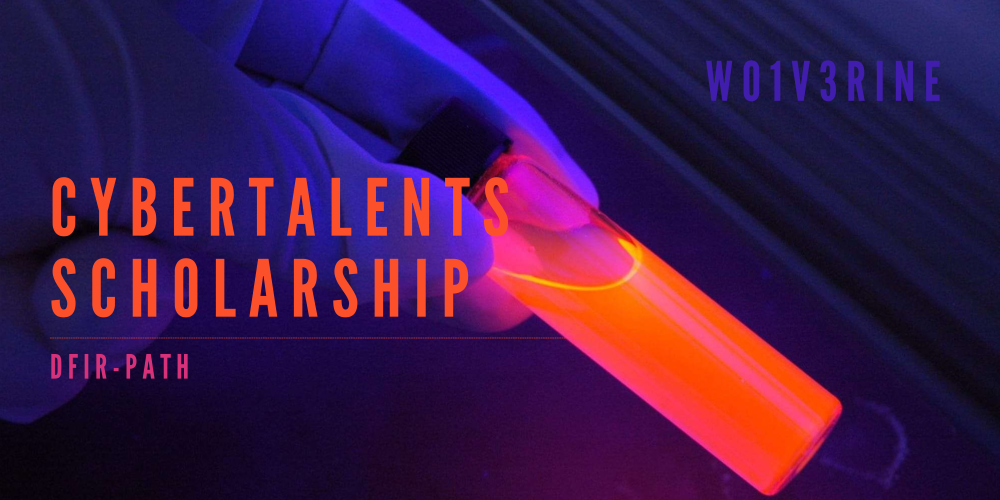 Cybertalents Scholarship